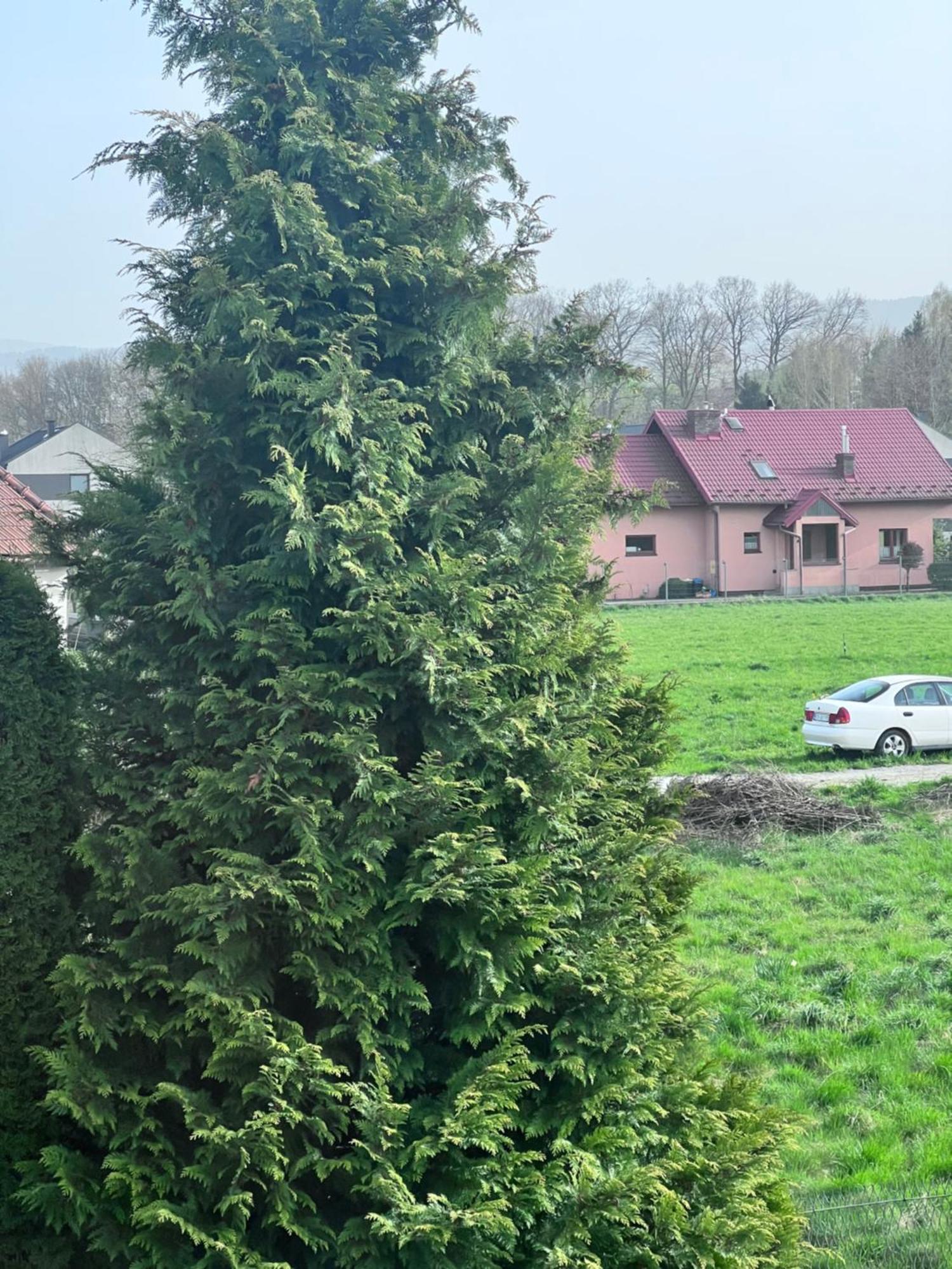 Apartament Nawojowski Nowy Sącz Exterior foto